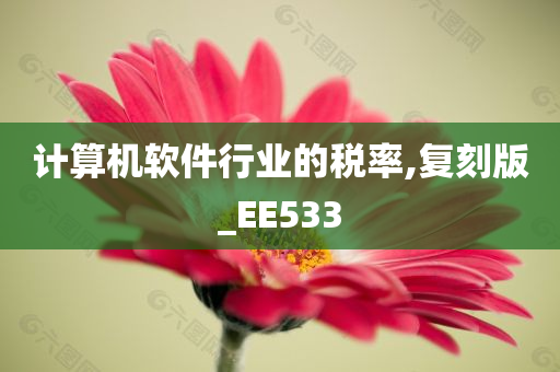 计算机软件行业的税率,复刻版_EE533