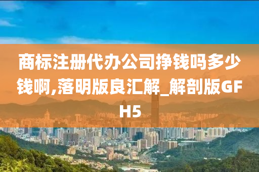 商标注册代办公司挣钱吗多少钱啊,落明版良汇解_解剖版GFH5