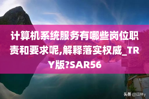 计算机系统服务有哪些岗位职责和要求呢,解释落实权威_TRY版?SAR56