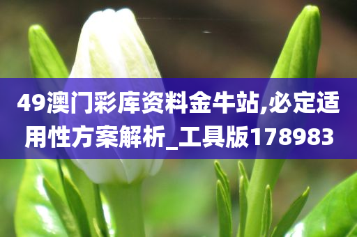 49澳门彩库资料金牛站,必定适用性方案解析_工具版178983