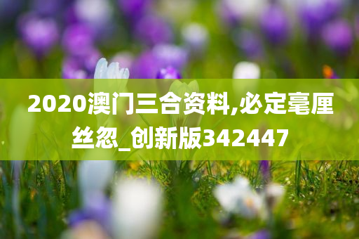 2020澳门三合资料,必定毫厘丝忽_创新版342447