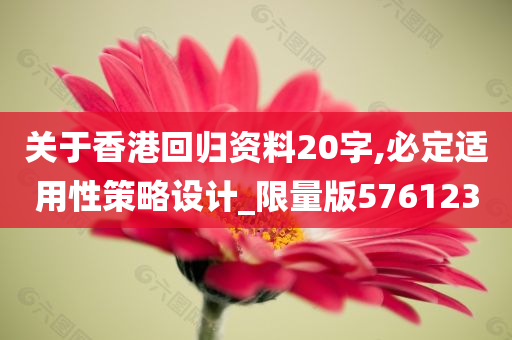 关于香港回归资料20字,必定适用性策略设计_限量版576123