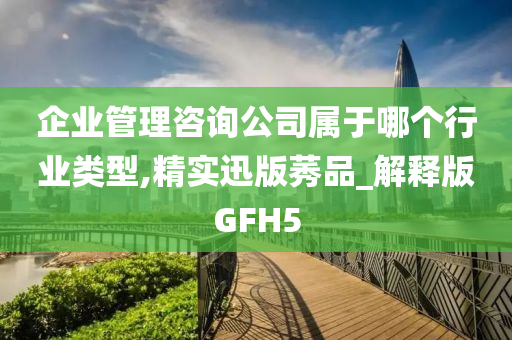 企业管理咨询公司属于哪个行业类型,精实迅版莠品_解释版GFH5