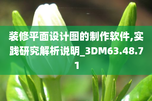 装修平面设计图的制作软件,实践研究解析说明_3DM63.48.71