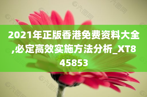 2021年正版香港免费资料大全,必定高效实施方法分析_XT845853