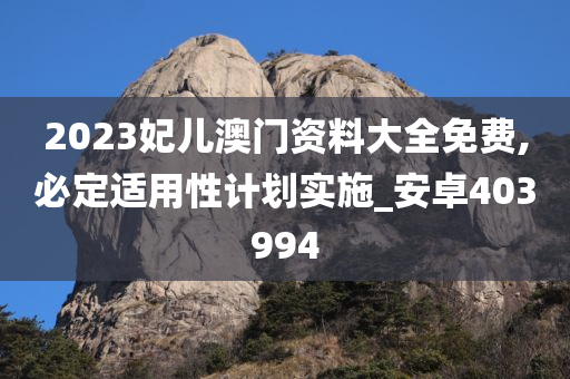 2023妃儿澳门资料大全免费,必定适用性计划实施_安卓403994