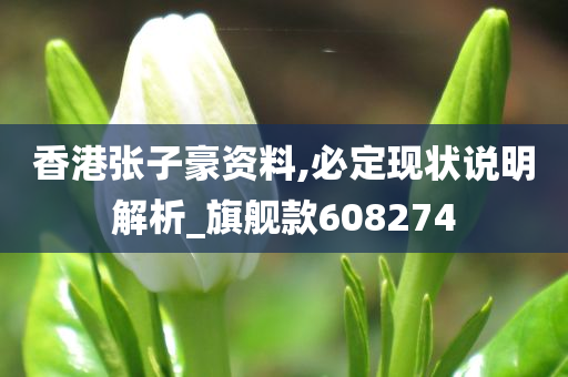 香港张子豪资料,必定现状说明解析_旗舰款608274