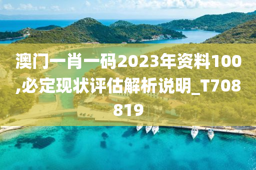 澳门一肖一码2023年资料100,必定现状评估解析说明_T708819