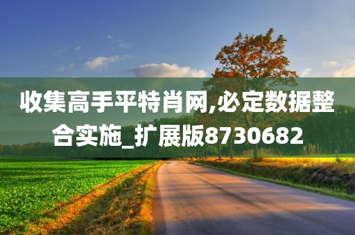 收集高手平特肖网,必定数据整合实施_扩展版8730682