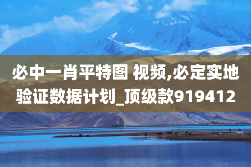 必中一肖平特图 视频,必定实地验证数据计划_顶级款919412