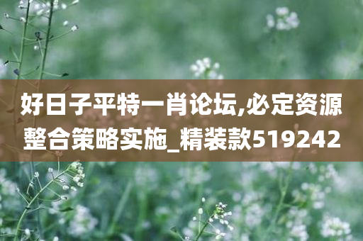 好日子平特一肖论坛,必定资源整合策略实施_精装款519242