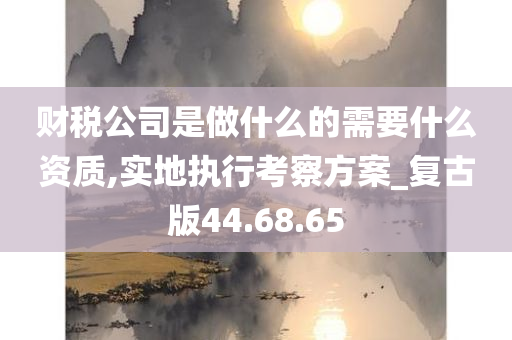 财税公司是做什么的需要什么资质,实地执行考察方案_复古版44.68.65