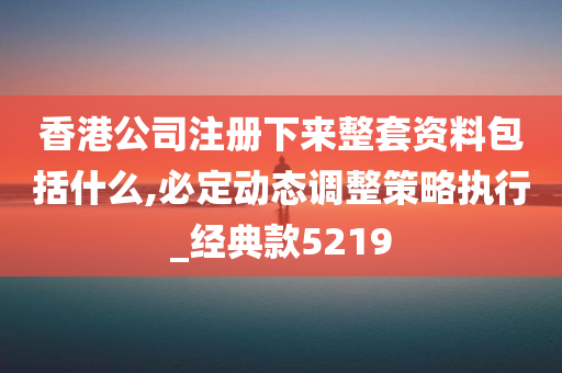 香港公司注册下来整套资料包括什么,必定动态调整策略执行_经典款5219