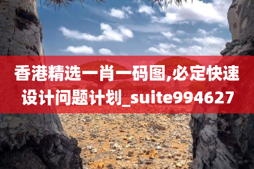 香港精选一肖一码图,必定快速设计问题计划_suite994627