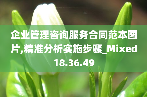 企业管理咨询服务合同范本图片,精准分析实施步骤_Mixed18.36.49