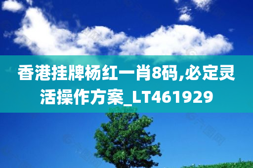 香港挂牌杨红一肖8码,必定灵活操作方案_LT461929