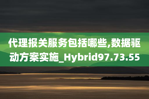 代理报关服务包括哪些,数据驱动方案实施_Hybrid97.73.55