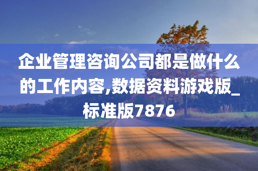 企业管理咨询公司都是做什么的工作内容,数据资料游戏版_标准版7876