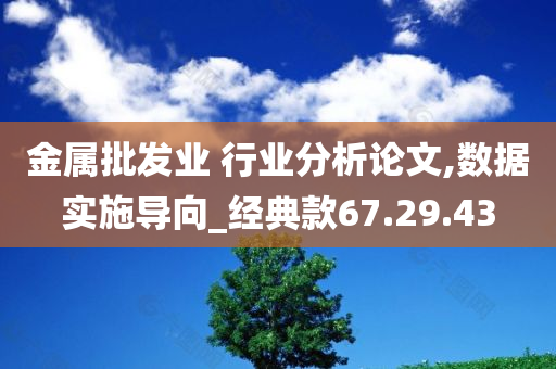 金属批发业 行业分析论文,数据实施导向_经典款67.29.43