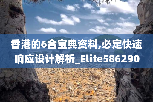 香港的6合宝典资料,必定快速响应设计解析_Elite586290