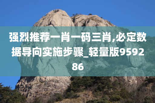 强烈推荐一肖一码三肖,必定数据导向实施步骤_轻量版959286