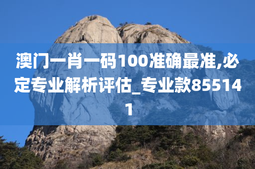 澳门一肖一码100准确最准,必定专业解析评估_专业款855141