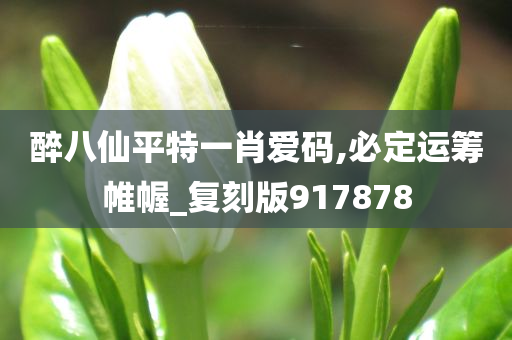 醉八仙平特一肖爱码,必定运筹帷幄_复刻版917878