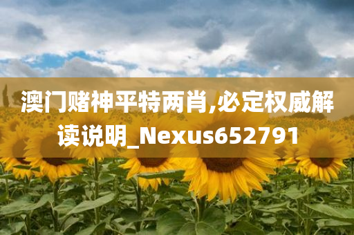 澳门赌神平特两肖,必定权威解读说明_Nexus652791