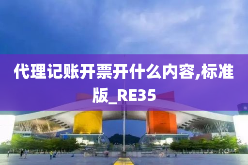 代理记账开票开什么内容,标准版_RE35