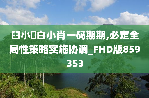 臼小爼白小肖一码期期,必定全局性策略实施协调_FHD版859353