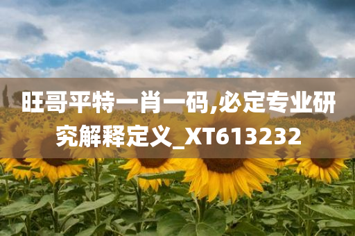 旺哥平特一肖一码,必定专业研究解释定义_XT613232