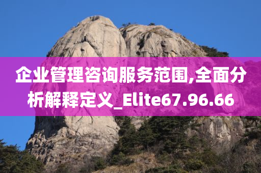 企业管理咨询服务范围,全面分析解释定义_Elite67.96.66