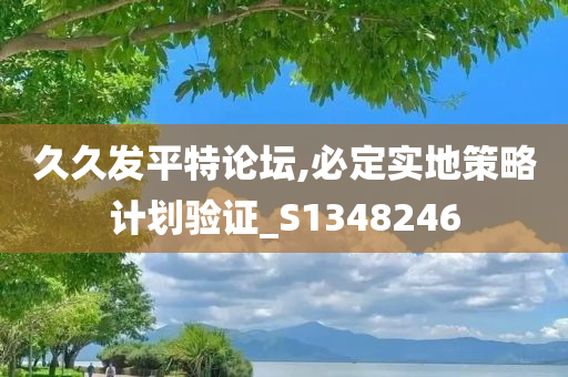 久久发平特论坛,必定实地策略计划验证_S1348246