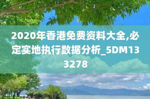 2020年香港免费资料大全,必定实地执行数据分析_5DM133278