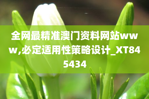 全网最精准澳门资料网站www,必定适用性策略设计_XT845434