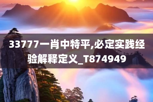 33777一肖中特平,必定实践经验解释定义_T874949