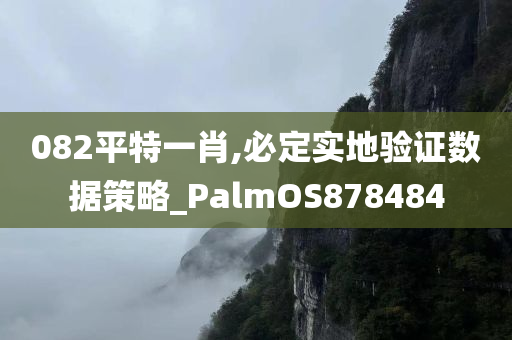 082平特一肖,必定实地验证数据策略_PalmOS878484