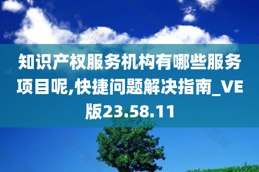 知识产权服务机构有哪些服务项目呢,快捷问题解决指南_VE版23.58.11