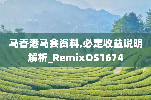 马香港马会资料,必定收益说明解析_RemixOS1674