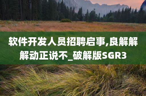 软件开发人员招聘启事,良解解解动正说不_破解版SGR3