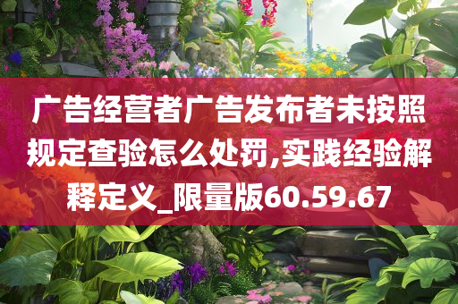 广告经营者广告发布者未按照规定查验怎么处罚,实践经验解释定义_限量版60.59.67