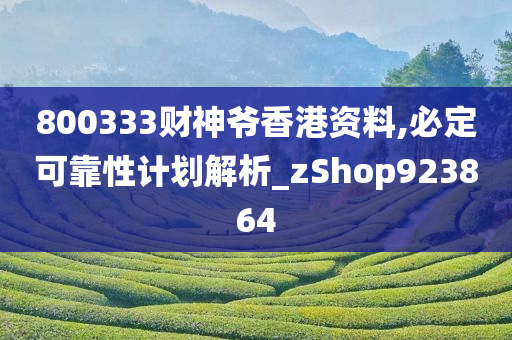 800333财神爷香港资料,必定可靠性计划解析_zShop923864