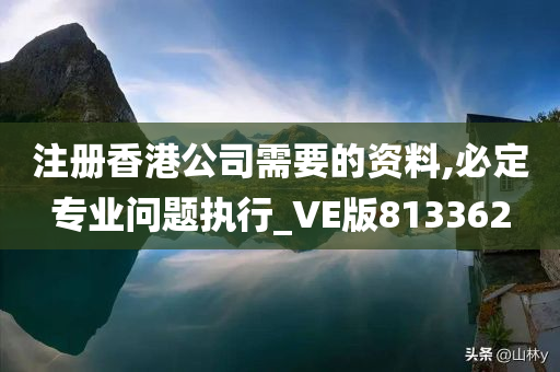 注册香港公司需要的资料,必定专业问题执行_VE版813362