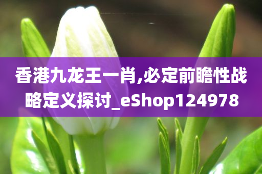 香港九龙王一肖,必定前瞻性战略定义探讨_eShop124978