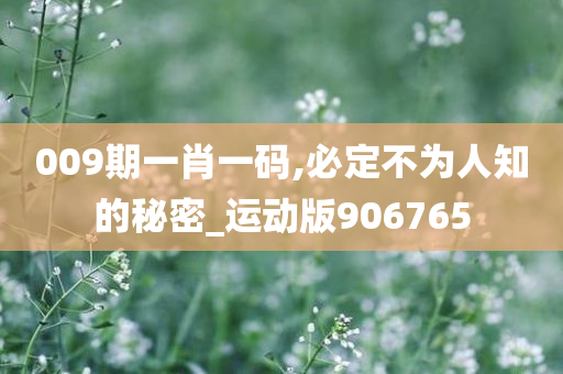 009期一肖一码,必定不为人知的秘密_运动版906765