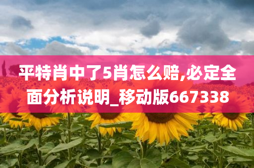 平特肖中了5肖怎么赔,必定全面分析说明_移动版667338