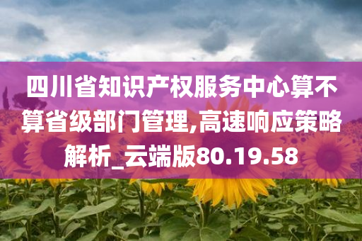 四川省知识产权服务中心算不算省级部门管理,高速响应策略解析_云端版80.19.58