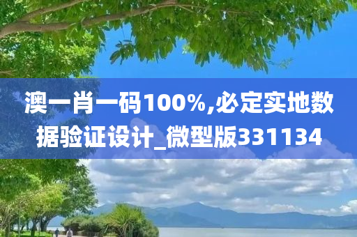 澳一肖一码100%,必定实地数据验证设计_微型版331134