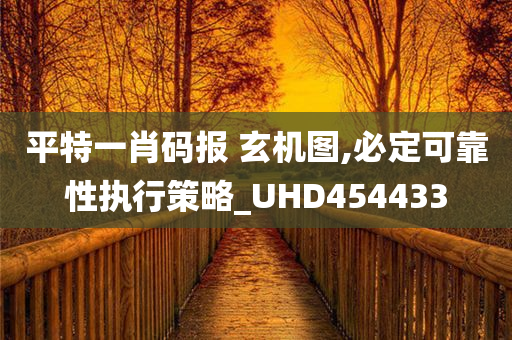 平特一肖码报 玄机图,必定可靠性执行策略_UHD454433