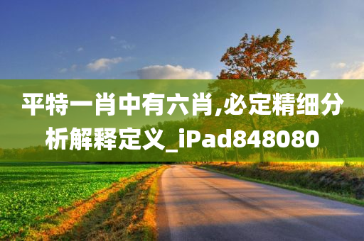 平特一肖中有六肖,必定精细分析解释定义_iPad848080